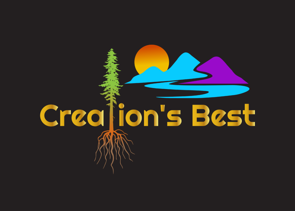 Creation's Best 